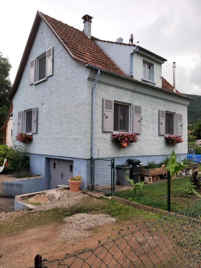 קייסרסברג Gite Les Chiwawas D'Alsace מראה חיצוני תמונה